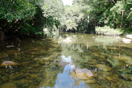 Creek near Jourama Falls