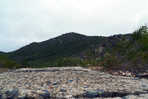 Old road on the Lighthouse Walk