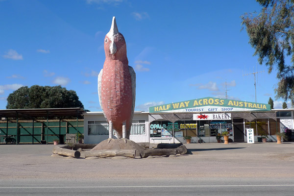 Kimba SA and the Big Galah