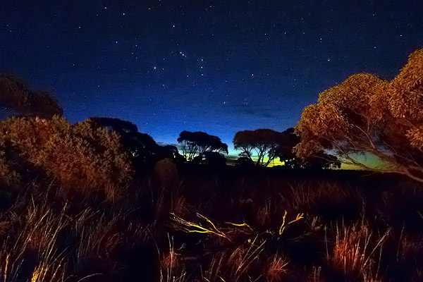 Nullabor Desert at Night - Orions Belt