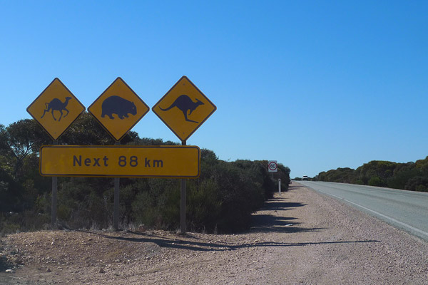 Unique Australian Road Sign Nullabor