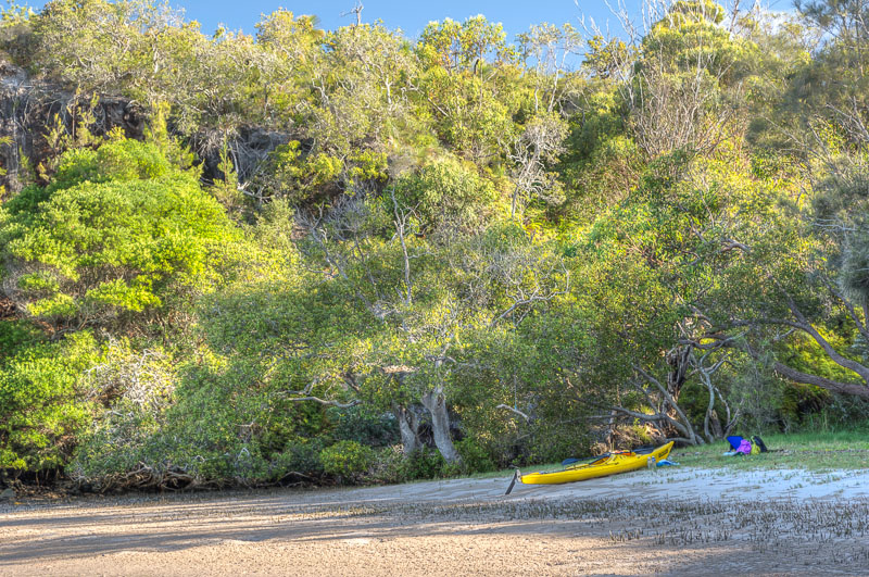 Destination: camping on the Wooli Wooli River